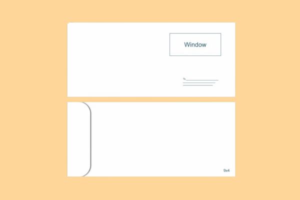 Envelop Multicolor 9.75 x 4.25